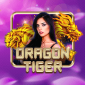 Dragon Tiger live table by FB001